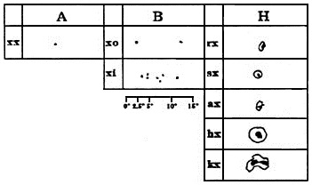 Tabella n. 2 – Classificazione dei gruppi maculari nelle varie sottoclassi