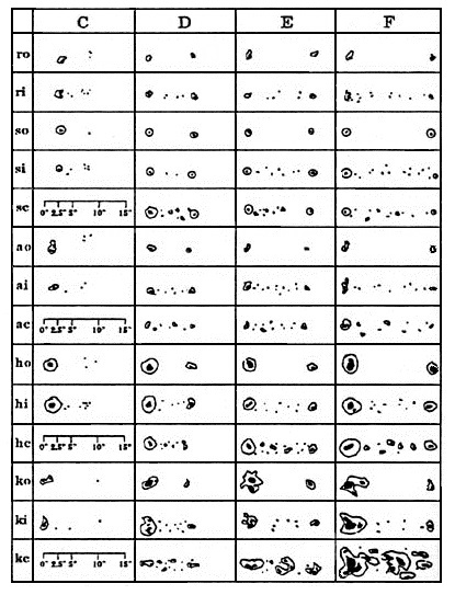 Tabella n. 2 – Classificazione dei gruppi maculari nelle varie sottoclassi