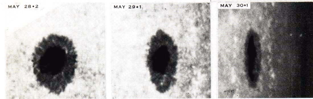 Figura n. 10 - L’effetto Wilson in una piccola macchia circolare. ( Il Sole - G. Godoli, ed. Einaudi, 1982)