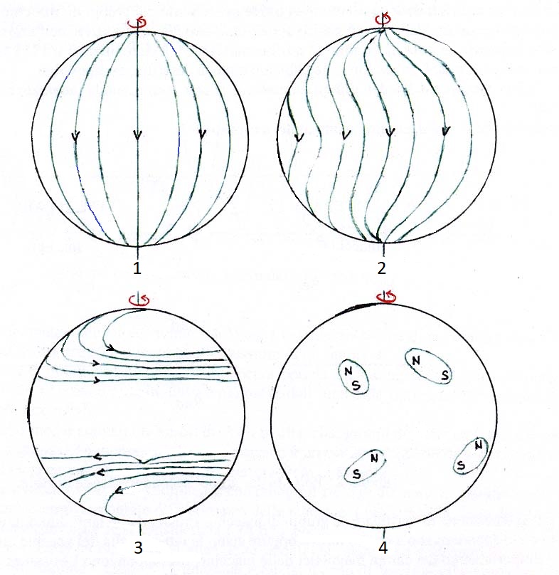 Figura n. 13 - Origine dei campi magnetici solari